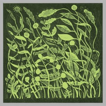 KIRK BARLEY - LUX