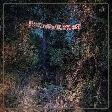 EYELIDS - ACCIDENTAL FALLS (DL CARD)