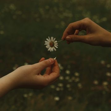 GOLDMUND - TIME IT TAKES