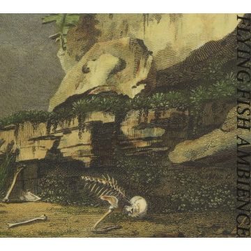 RAINFOREST SPIRITUAL ENSLAVEMENT - FLYING FISH AMBIENCE