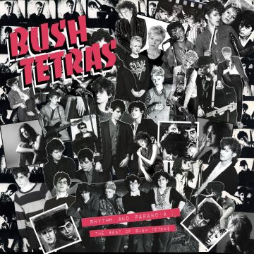 BUSH TETRAS - RHYTHM & PARANOIA: THE BEST OF BUSH TETRAS (BOOK)