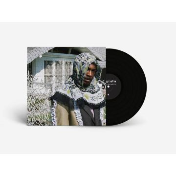 JPEGMAFIA - All My Heroes Are Cornballs