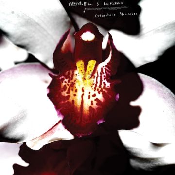 CHRYSTABELL & DAVID LYNCH - CELLOPHANE MEMORIES