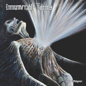 INNUMERABLE FORMS - PAIN EFFULGENCE