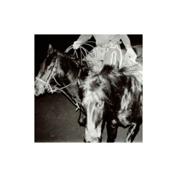 HOLY MOTORS - HEAVEN'S NIGHT