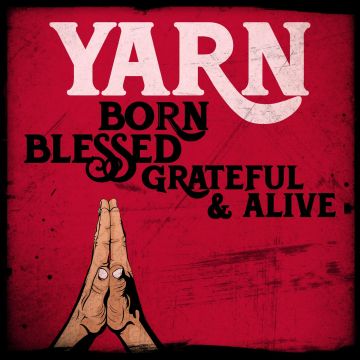 YARN - BORN BLESSED GRATEFUL & ALIVE