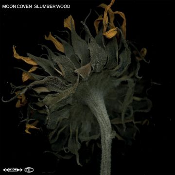 MOON COVEN - SLUMBER WOOD