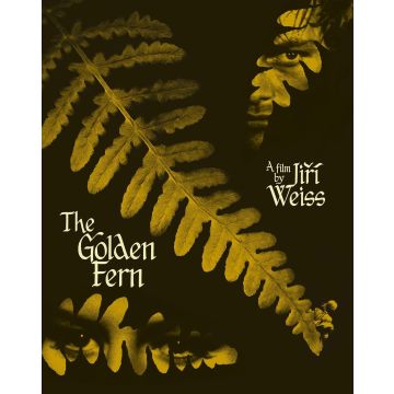 GOLDEN FERN
