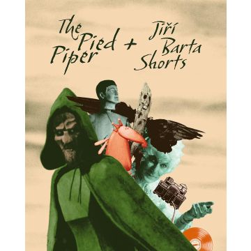 PIED PIPER/JIRI BARTA SHORTS