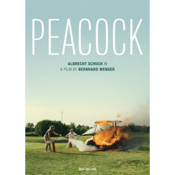 PEACOCK