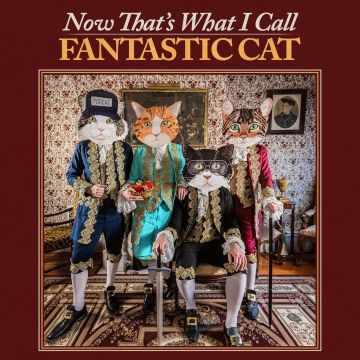 FANTASTIC CAT - NOW THAT'S WHAT I CALL FANTASTIC CAT