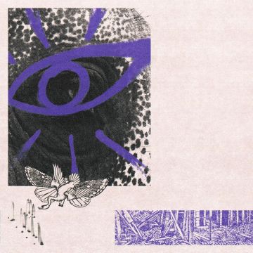 HIPPO CAMPUS - LP3