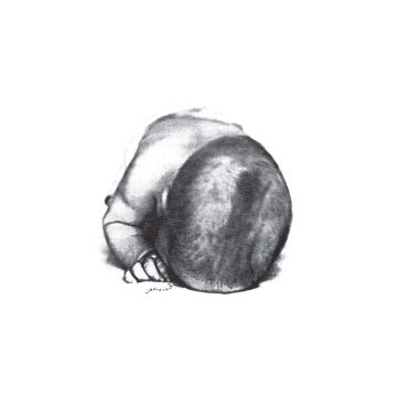 LIQUID IDIOT / IDIOT ORCHESTRA - S/T