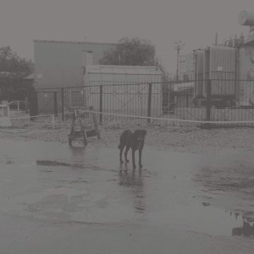 NIVHEK - AFTER ITS OWN DEATH / WALKING IN A SPIRAL TOWARDS THE HOUSE