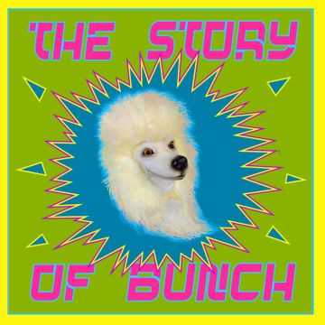 HARRY LARRY LANDIS - STORY OF BUNCH
