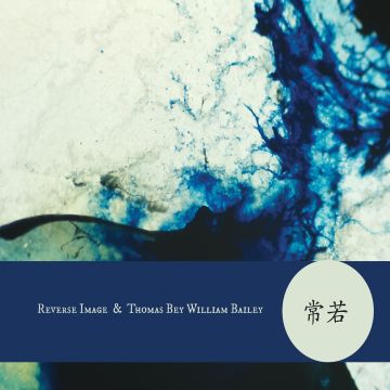 REVERSE IMAGE & THOMAS BEY WILLIAM BAILEY - TOKOKAWA