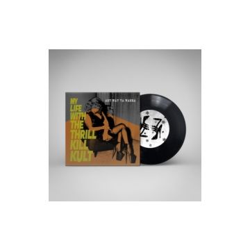 MY LIFE WITH THE THRILL KILL KULT - ANY WAY YA WANNA
