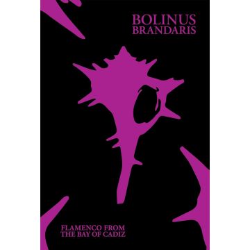 VARIOUS ARTISTS - BOLINUS BRANDARIS: FLAMENCO FROM THE BAY OF CADIZ