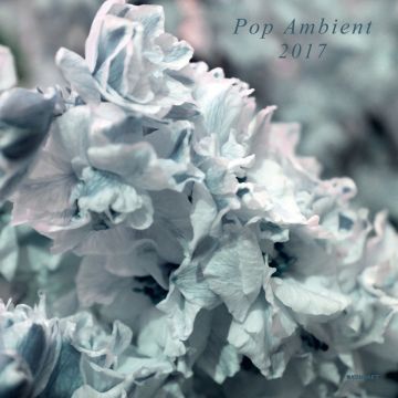 VARIOUS ARTISTS - POP AMBIENT 2017
