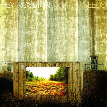HEY ROSETTA - SEEDS