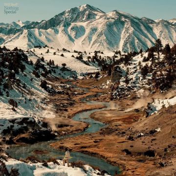 WILL SHEFF - NOTHING SPECIAL (ECO MIX/RECYCLED COLOR VINYL)