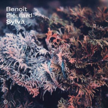 BENOIT PIOULARD - SYLVA
