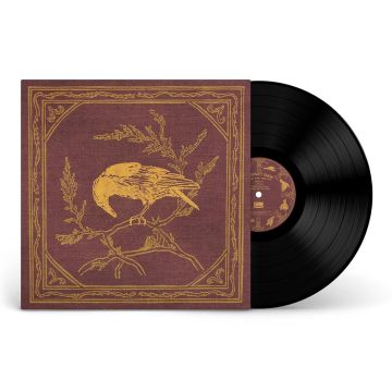CURIOSITY SHOP - BOUND FOR THE SKY