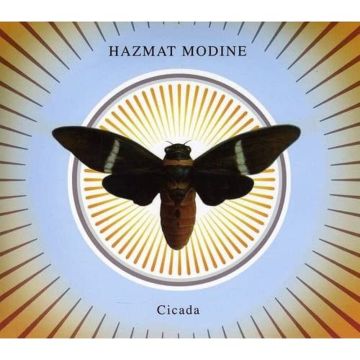 HAZMAT MODINE - CICADA