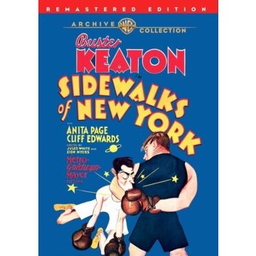 SIDEWALKS OF NEW YORK
