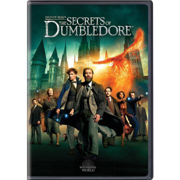 FANTASTIC BEASTS: SECRETS OF DUMBLEDORE
