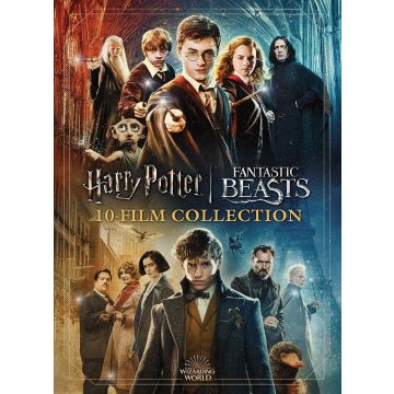 WIZARDING WORLD 10-FILM COLLECTION - 20TH ANNIVERSARY LINE L - WIZARDING WORLD 10-FILM COLLECTION - 20TH ANNIVERSARY LINE LOOK