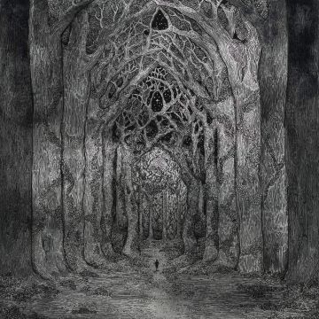 NHOR - WITHIN THE DARKNESS BETWEEN THE STARLIGHT (180G)