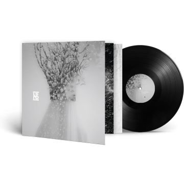 NEGURA BUNGET - ZAU