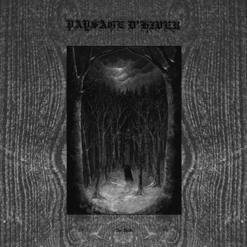 PAYSAGE D'HIVER - IM WALD