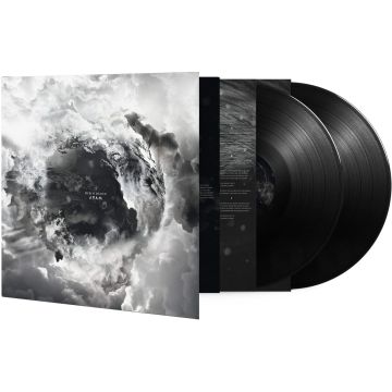 DISILLUSION - AYAM