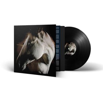 BROTHER DEGE - HOW TO KILL A HORSE