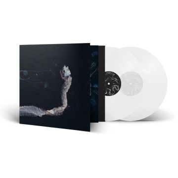 TENHI - MAAAET (CLEAR VINYL)