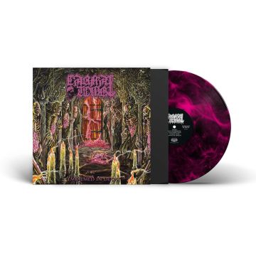 CARNAL TOMB - EMBALMED IN DECAY (MAGENTA/BLACK MARBLE VINYL/LIMITED EDITION)
