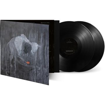 KAYO DOT - EVERY ROCK EVERY HALF-TRUTH UNDER REASON