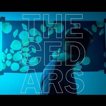 JOHN VANDERSLICE - CEDARS