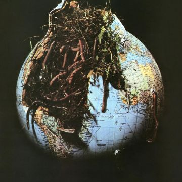 DROSSELBART - DROSSELBART