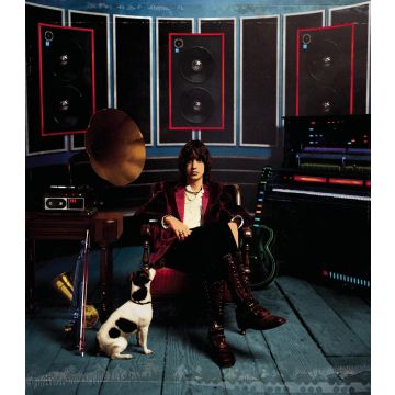 JULIAN CASABLANCAS - PHRAZES FOR THE YOUNG