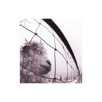 PEARL JAM - VS. (180G/GATEFOLD)