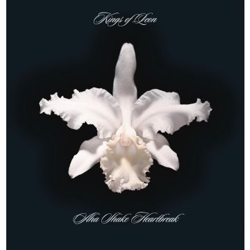 KINGS OF LEON - AHA SHAKE HEARTBREAK (2LP/180G/GATEFOLD)