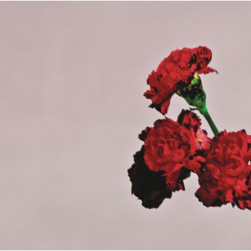 JOHN LEGEND - LOVE IN THE FUTURE