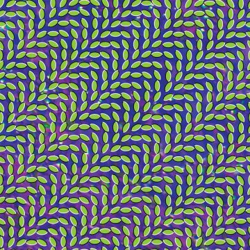 Animal Collective - Merriweather Post Pavilion