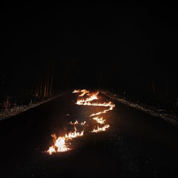 BOB MOSES - BATTLE LINES (DL CARD)