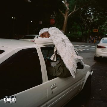 BLOOD ORANGE - NEGRO SWAN