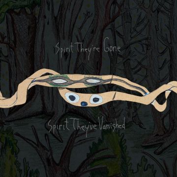 ANIMAL COLLECTIVE - SPIRIT THEY'RE GONE, SPIRIT THEY'VE VANISHED