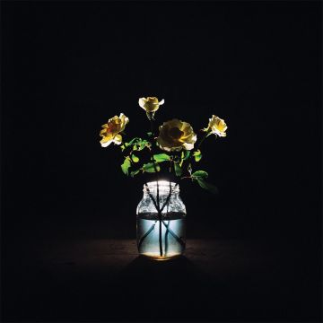 BILLY STRINGS - RENEWAL (2LP/180G)